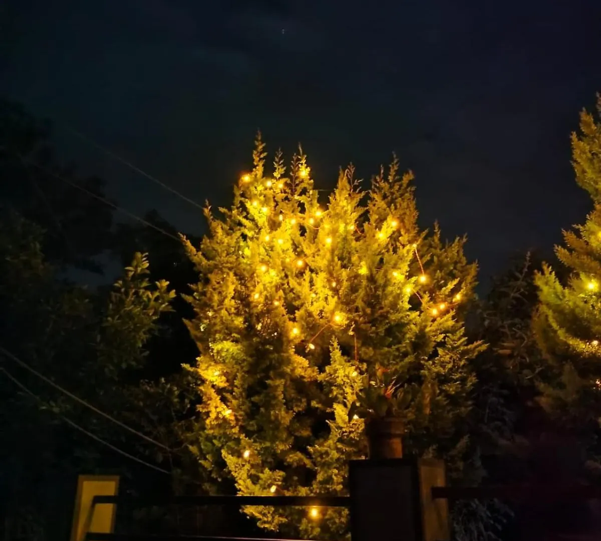 Celestial Homestay Pinangode 0*,  インド