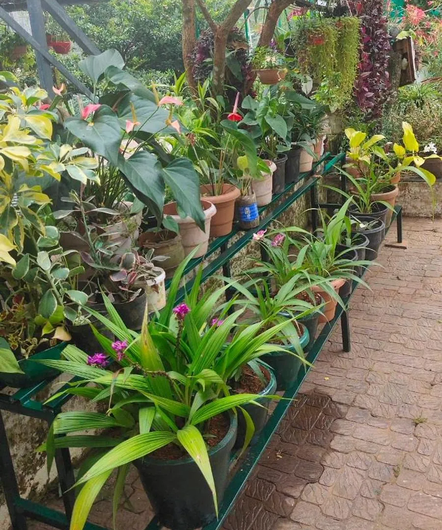 ヴィラ Celestial Homestay Pinangode インド