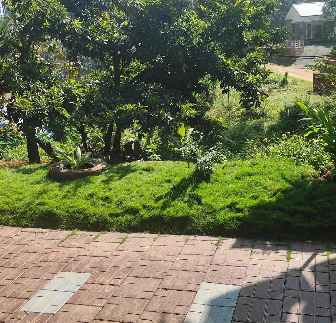 Celestial Homestay Pinangode インド