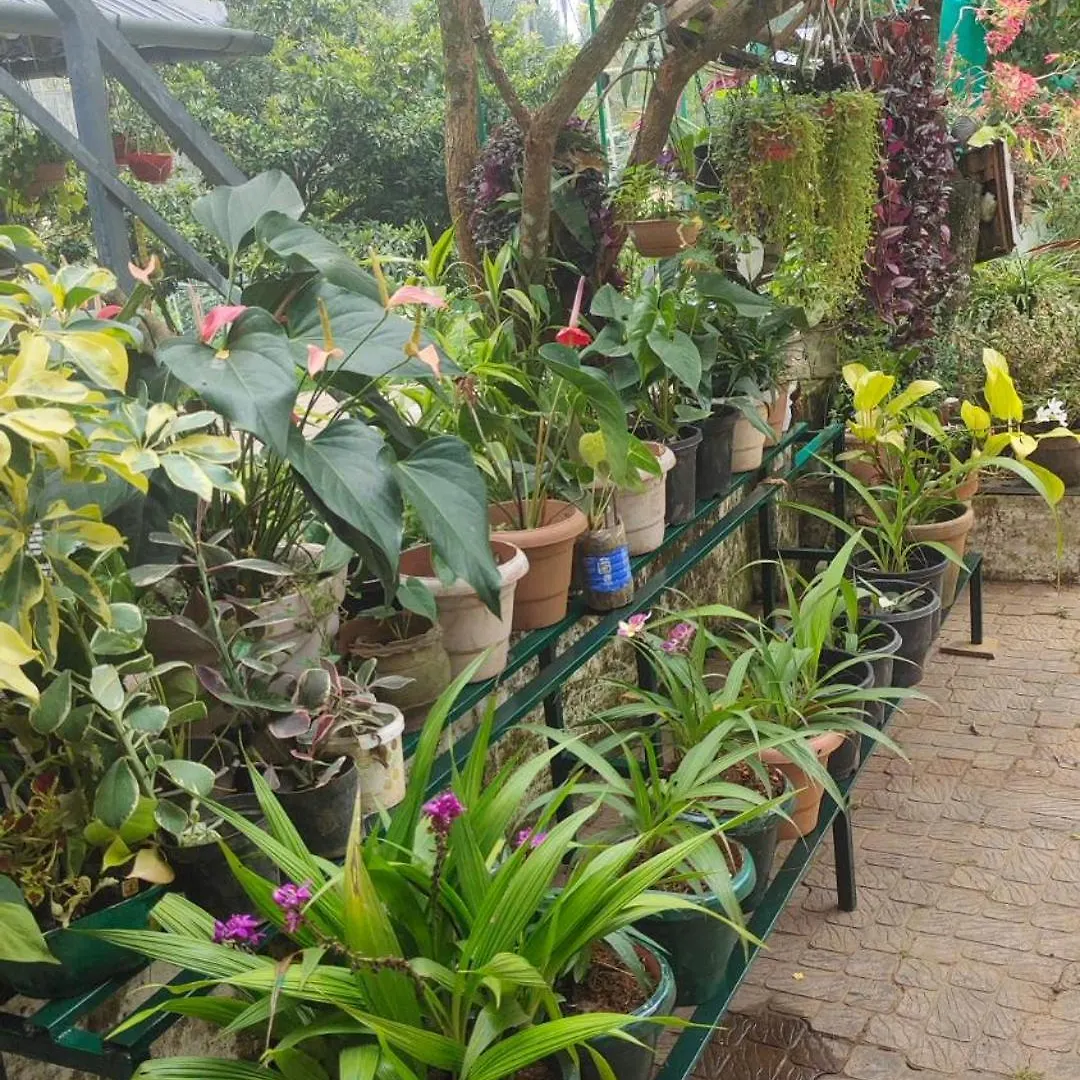 Celestial Homestay Pinangode 0*,  インド